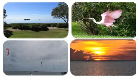 1806 Mariner Drive Tarpon Springs FL 34689