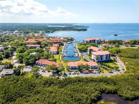 1806 Mariner Drive Tarpon Springs FL 34689