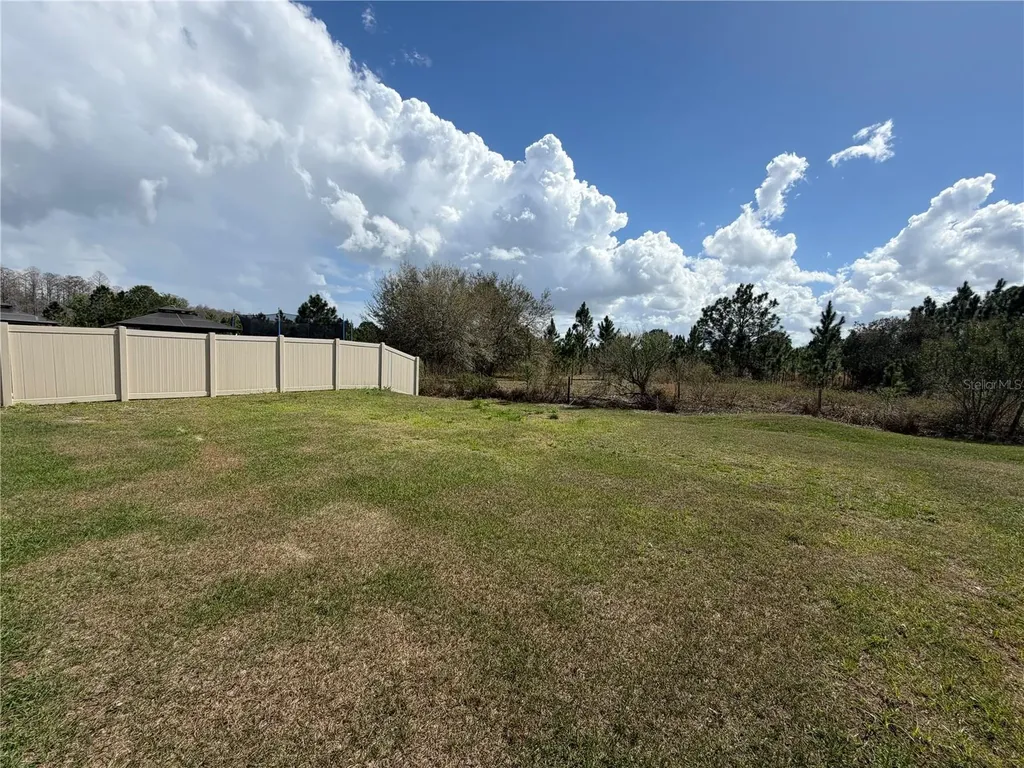 1463 Fox Squirrel Drive Davenport FL 33897