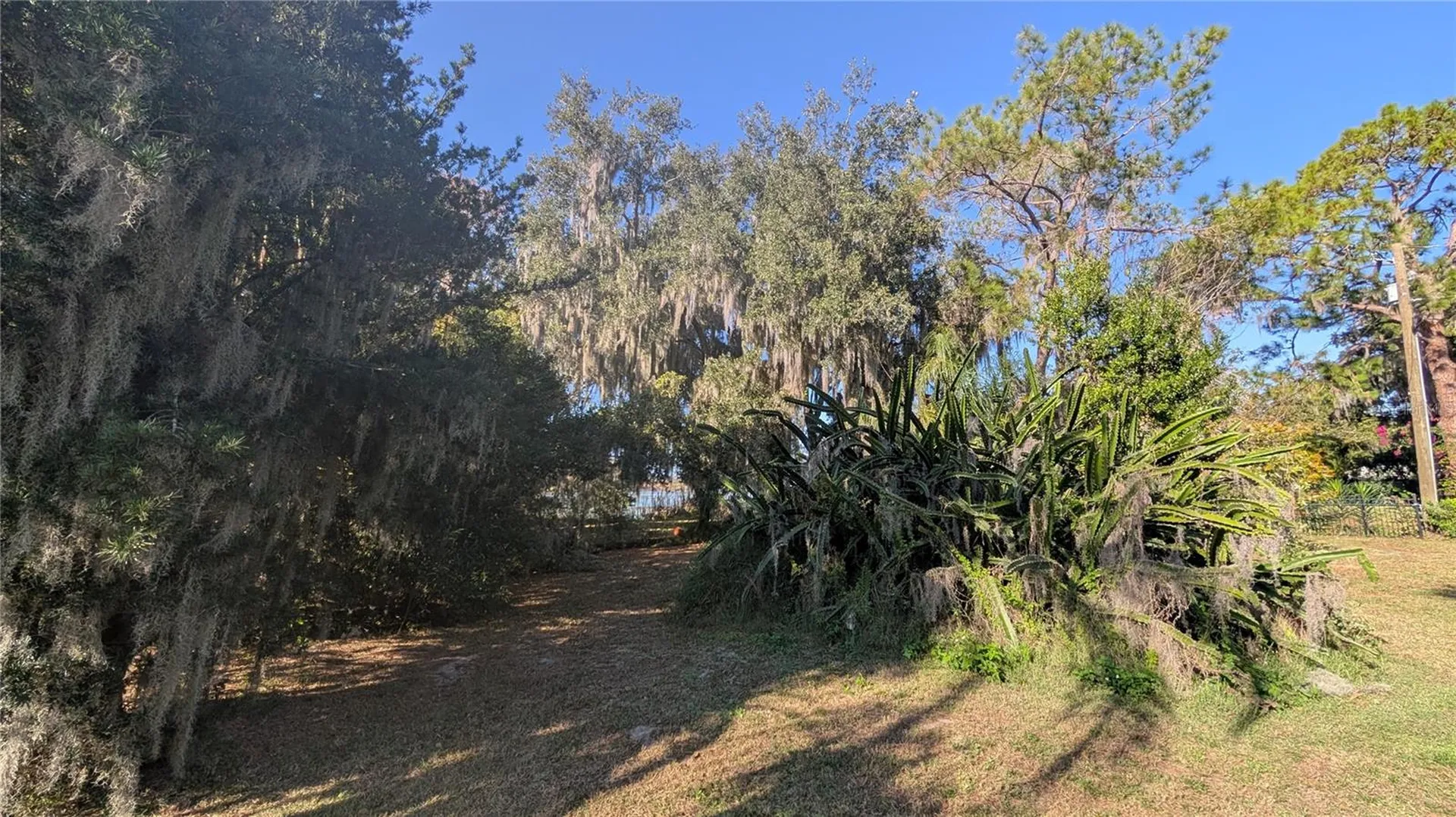 9444 Lake Hickory Nut Drive Winter Garden FL 34787