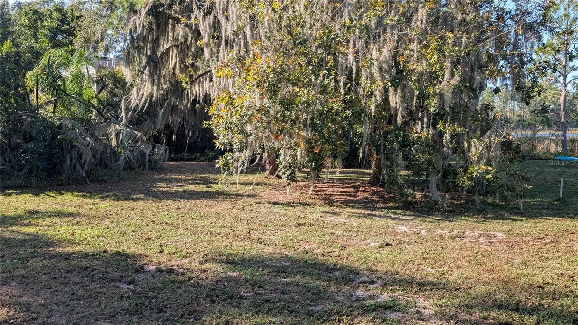9444 Lake Hickory Nut Drive Winter Garden FL 34787