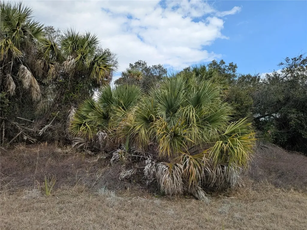 Casco Circle North Port FL 34288