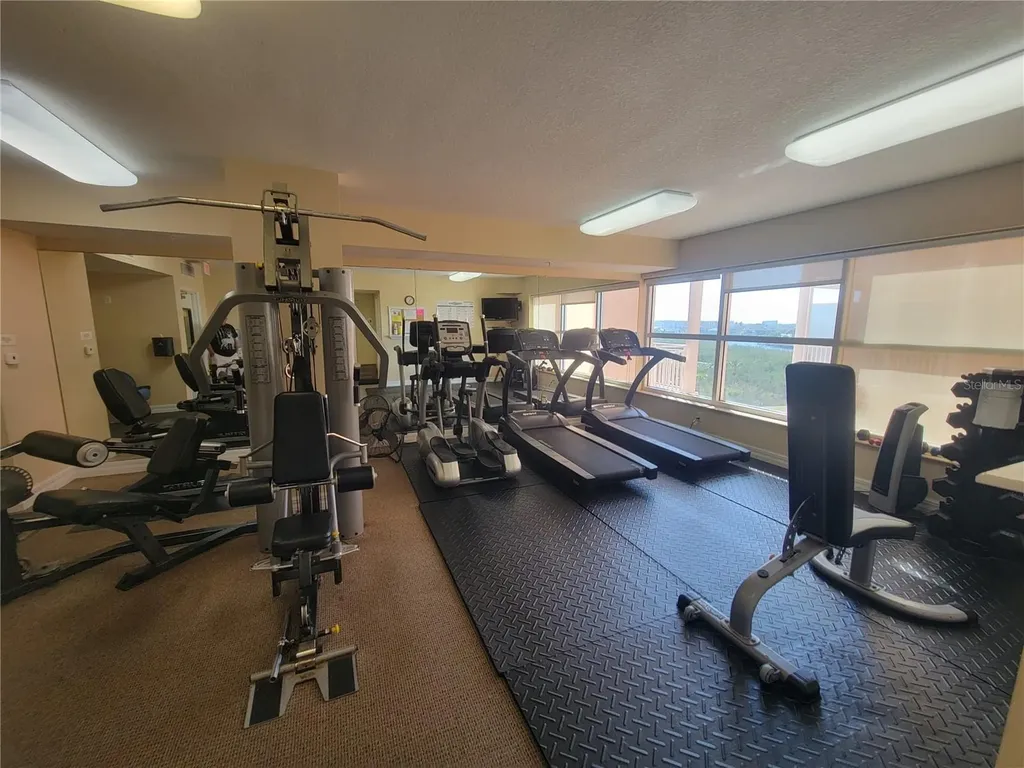 4516 Seagull Drive New Port Richey FL 34652