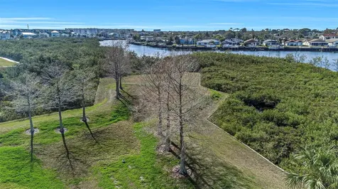 4516 Seagull Drive New Port Richey FL 34652