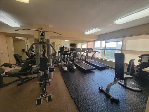 4516 Seagull Drive New Port Richey FL 34652