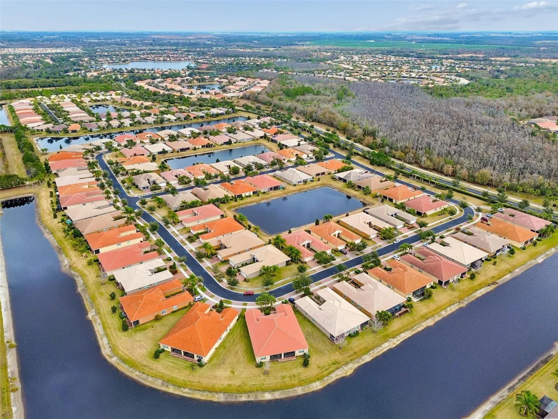 4838 Marble Springs Circle Wimauma FL 33598