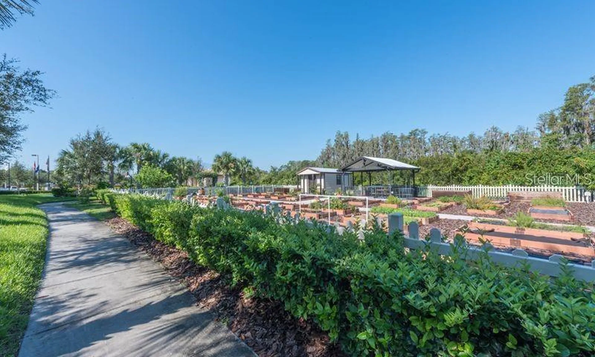4838 Marble Springs Circle Wimauma FL 33598
