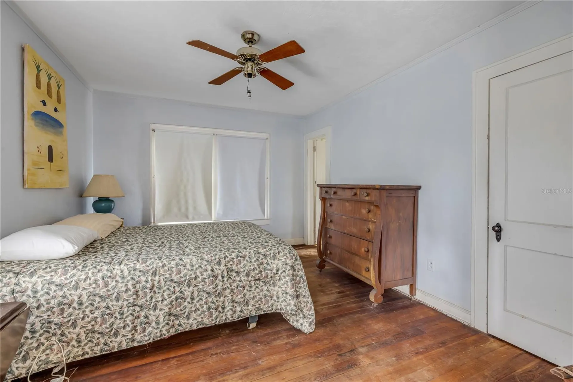 1170 S Clayton Street Mount Dora FL 32757