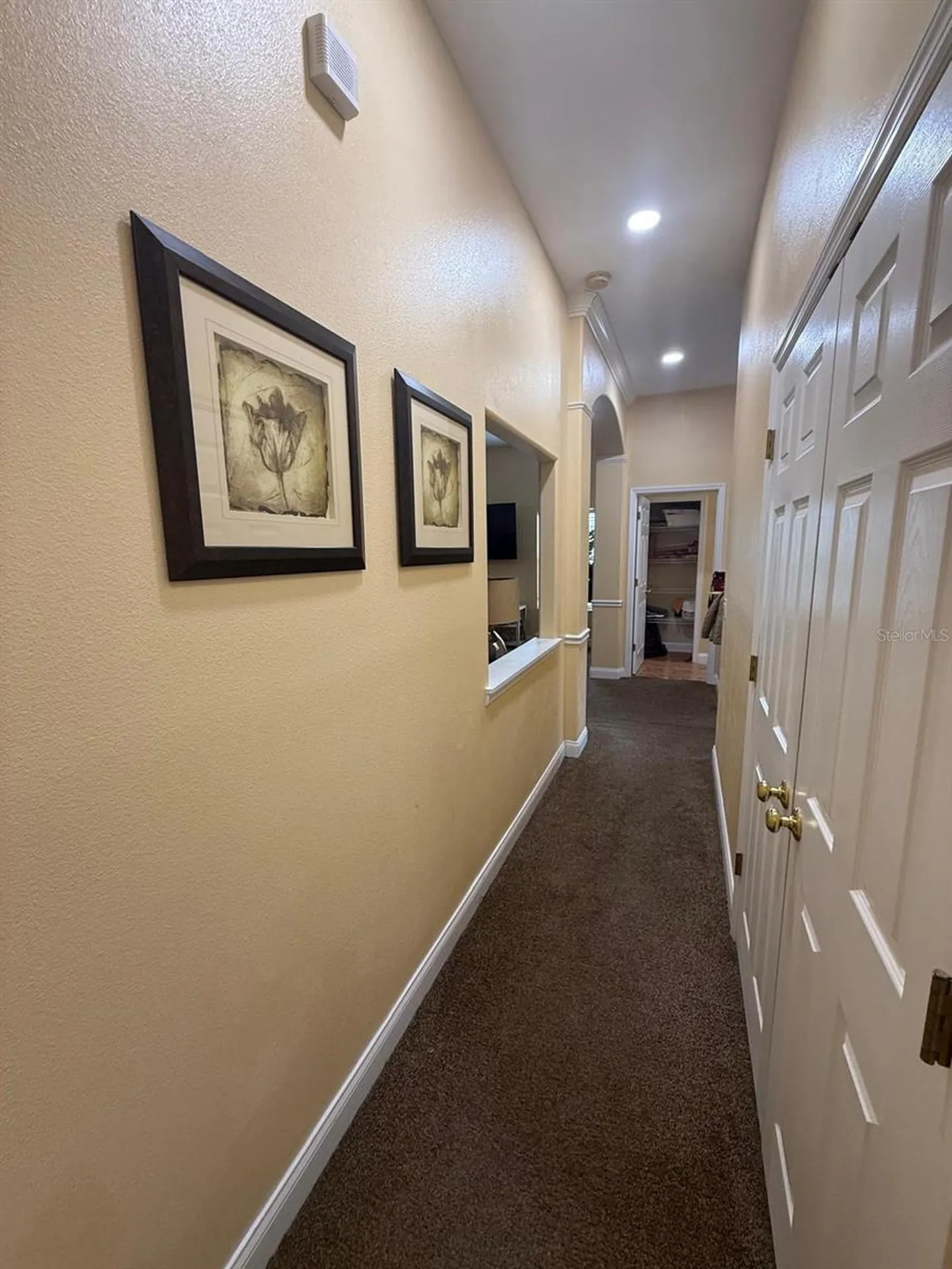 7322 Sheepshead Drive Hudson FL 34667