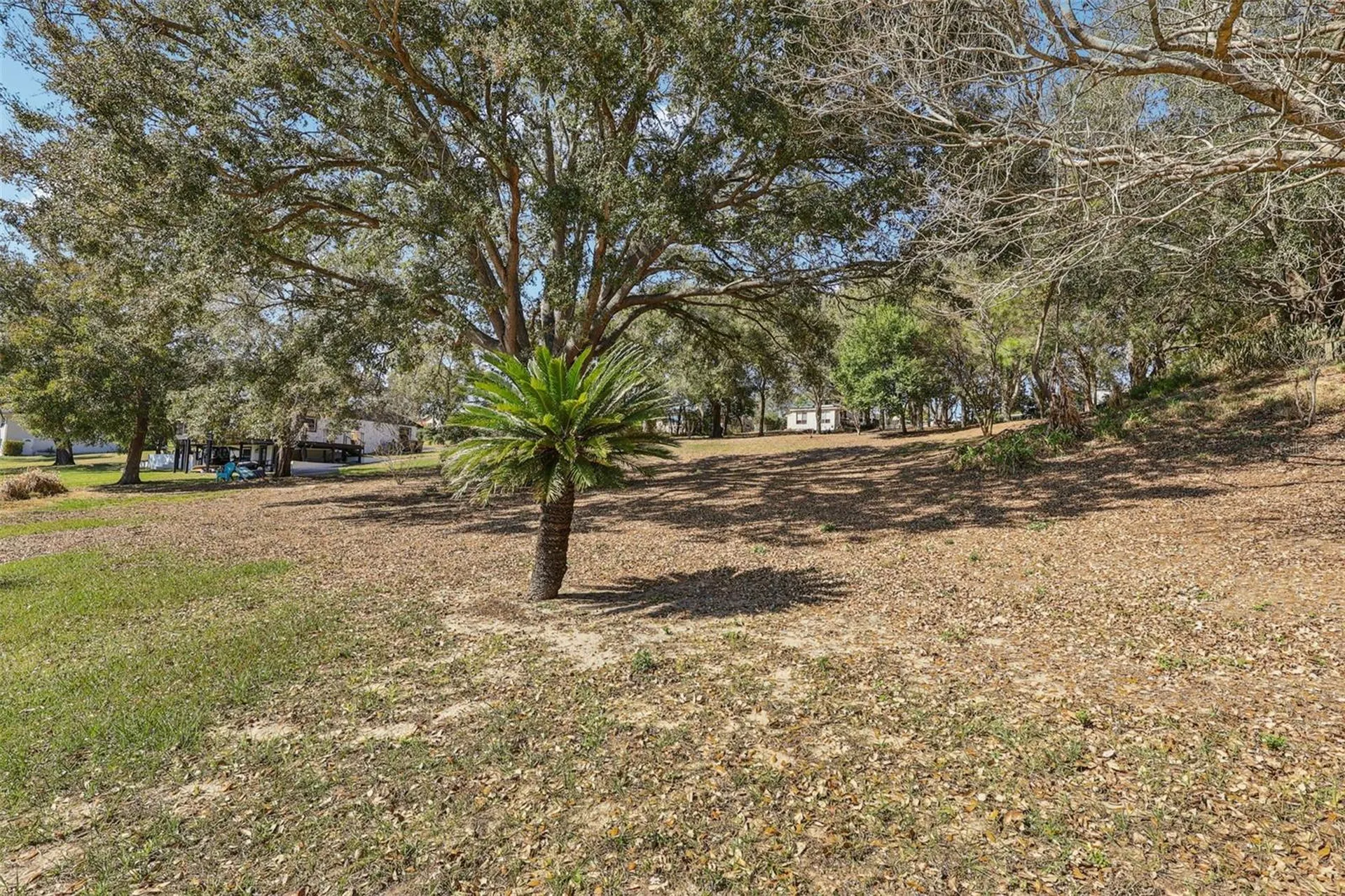 Westmoreland Avenue Eustis FL 32726