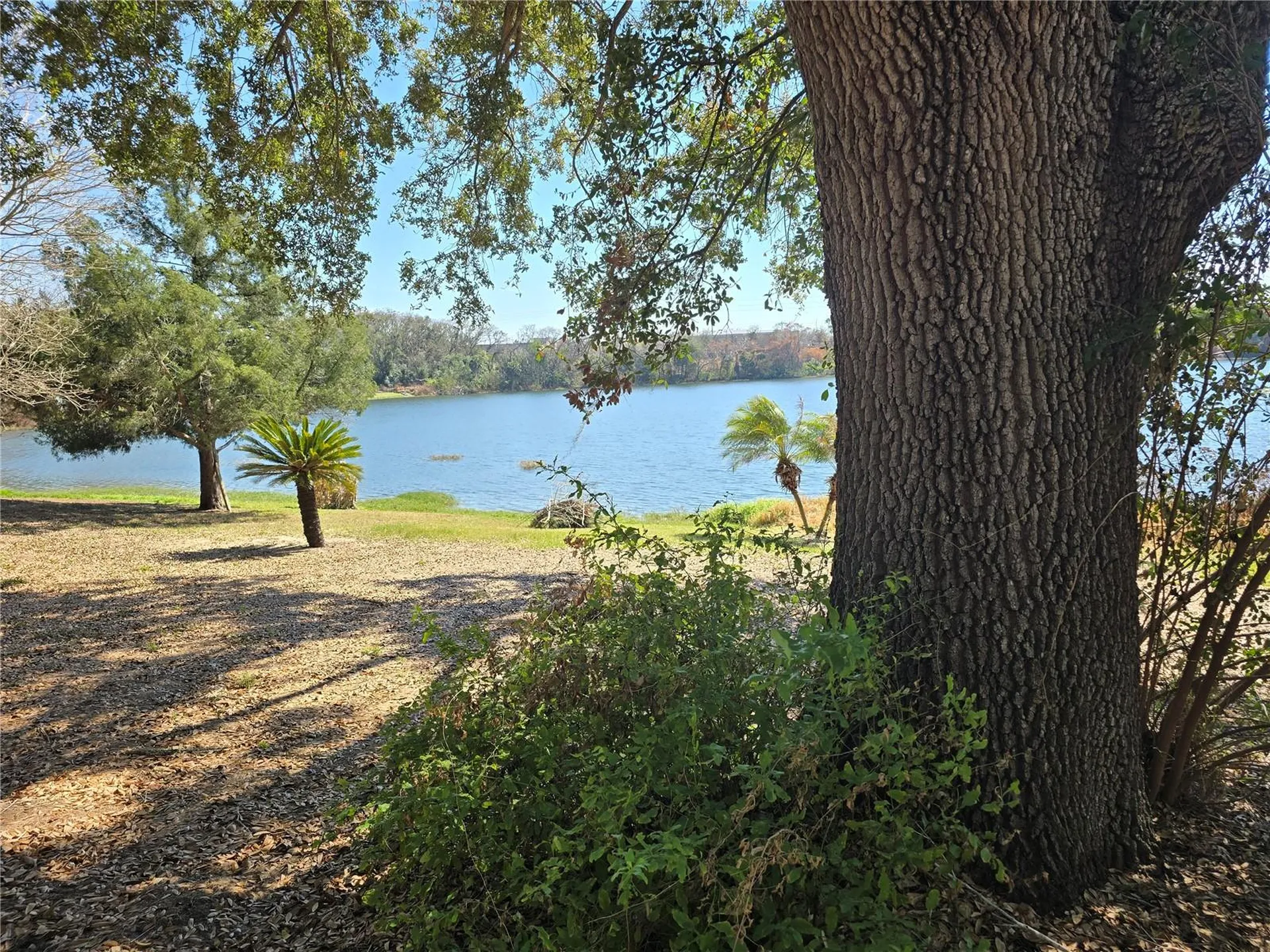 Westmoreland Avenue Eustis FL 32726