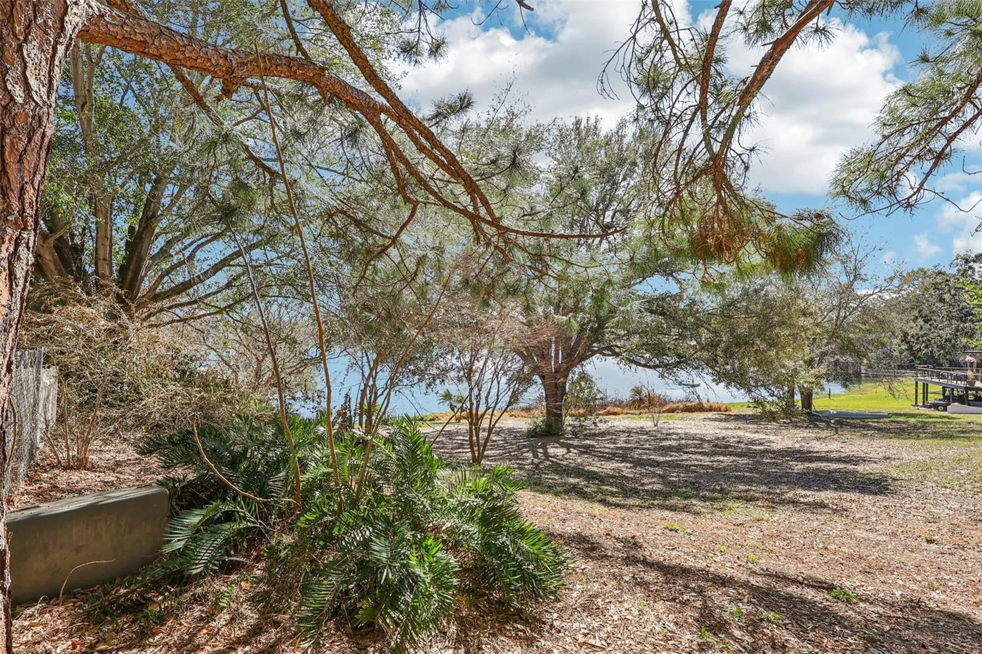 Westmoreland Avenue Eustis FL 32726