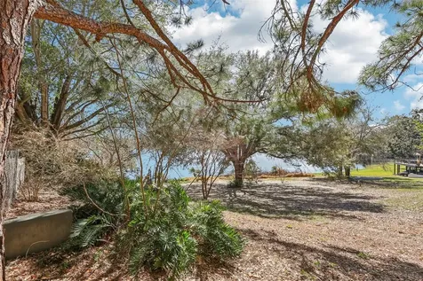 Westmoreland Avenue Eustis FL 32726