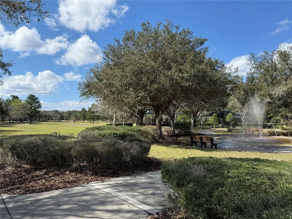 6911 Beargrass Road Harmony FL 34773