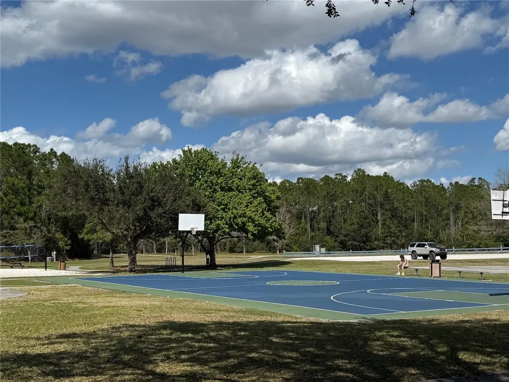 6911 Beargrass Road Harmony FL 34773