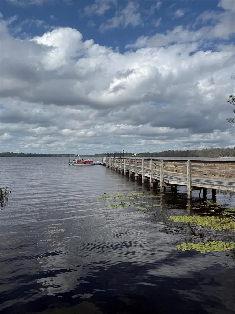 6911 Beargrass Road Harmony FL 34773