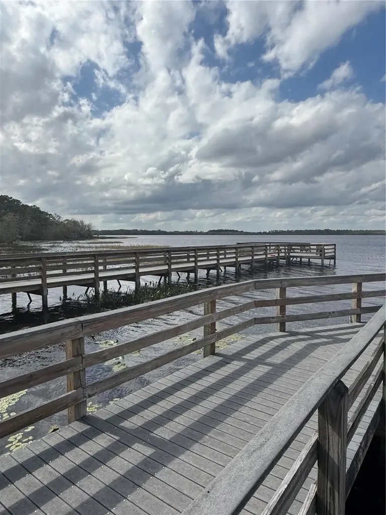 6911 Beargrass Road Harmony FL 34773