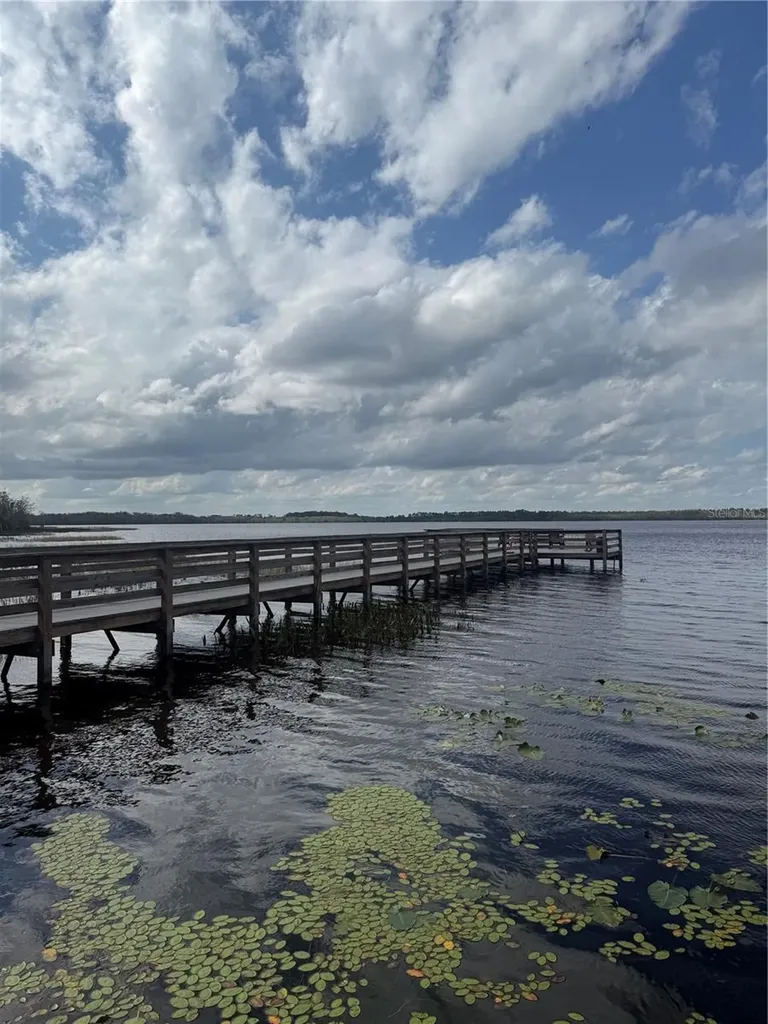 6911 Beargrass Road Harmony FL 34773