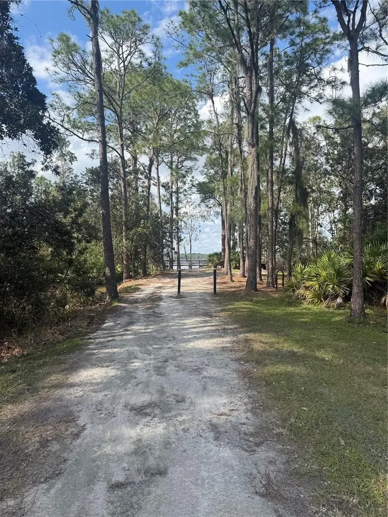 6911 Beargrass Road Harmony FL 34773