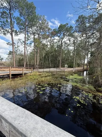6911 Beargrass Road Harmony FL 34773