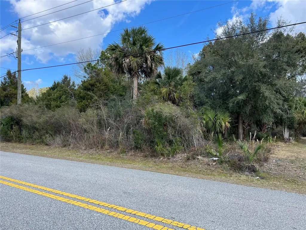 164 Bird Of Paradise Drive Palm Coast FL 32137