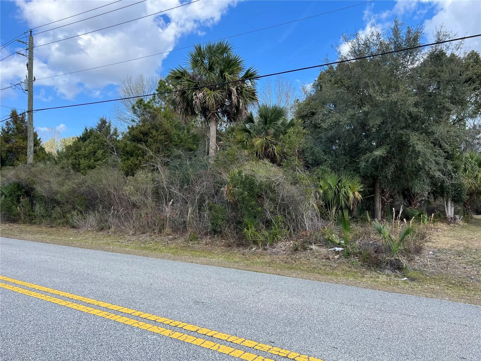 164 Bird Of Paradise Drive Palm Coast FL 32137