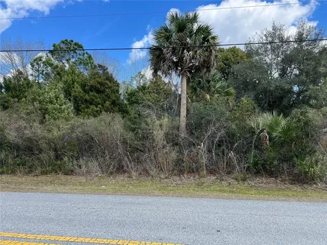 164 Bird Of Paradise Drive Palm Coast FL 32137