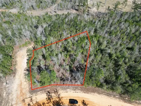 Clinton Court Alford FL 32420