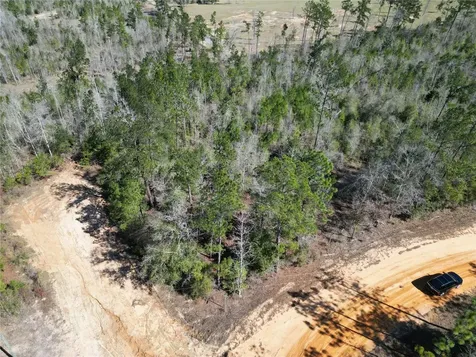 Clinton Court Alford FL 32420