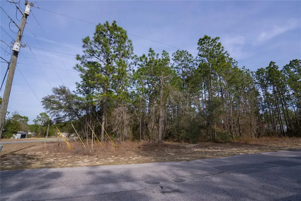 7391 N Cricket Drive Citrus Springs FL 34434