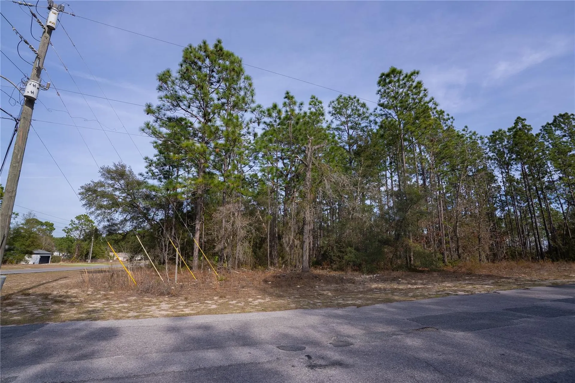7391 N Cricket Drive Citrus Springs FL 34434