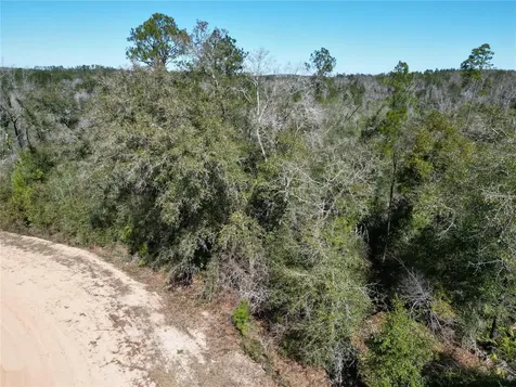 Blueberry Court Alford FL 32420