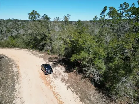 Blueberry Court Alford FL 32420