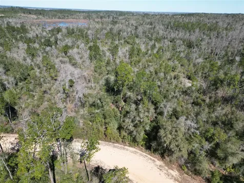 Blueberry Court Alford FL 32420