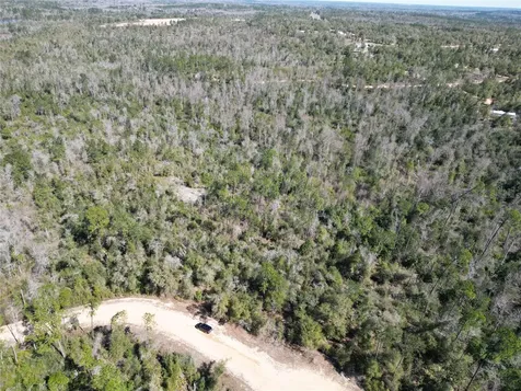 Blueberry Court Alford FL 32420