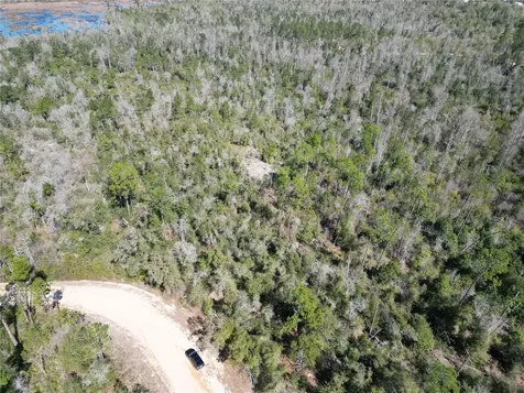 Blueberry Court Alford FL 32420