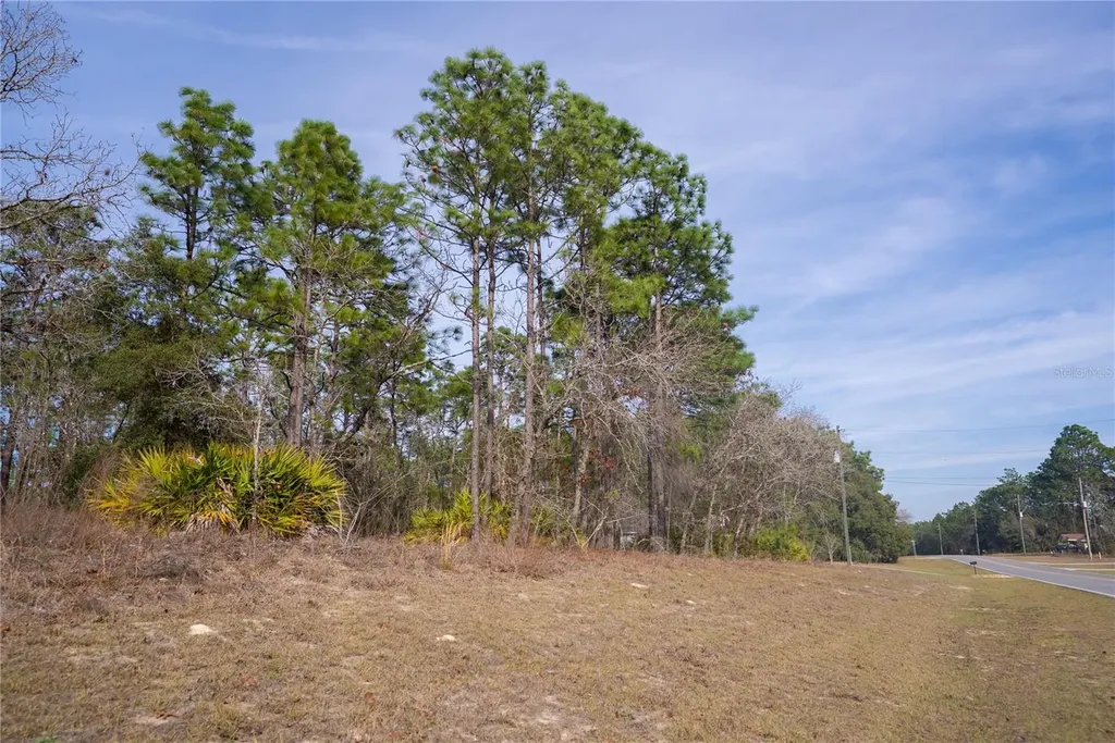 2173 W Citrus Springs Boulevard Citrus Springs FL 34434