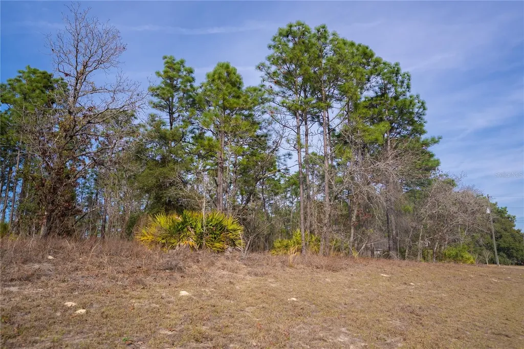 2173 W Citrus Springs Boulevard Citrus Springs FL 34434
