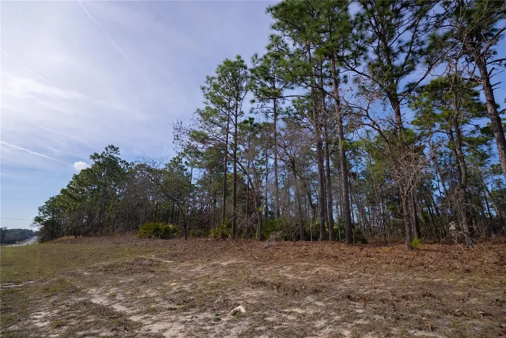 2173 W Citrus Springs Boulevard Citrus Springs FL 34434