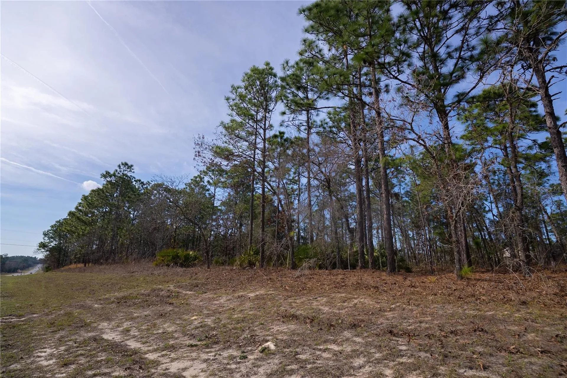 2173 W Citrus Springs Boulevard Citrus Springs FL 34434