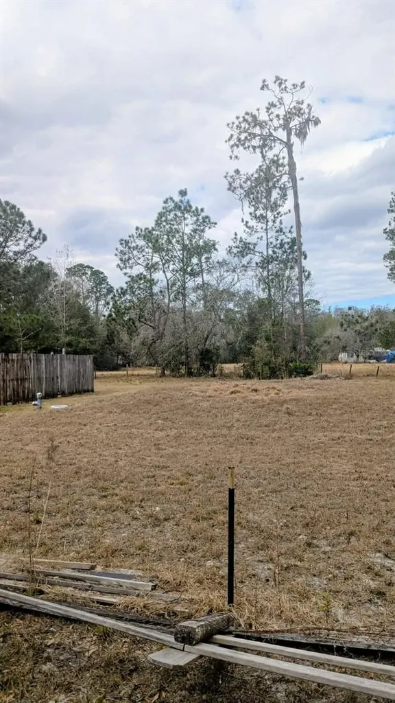 6905 Pearson Lane Wesley Chapel FL 33544