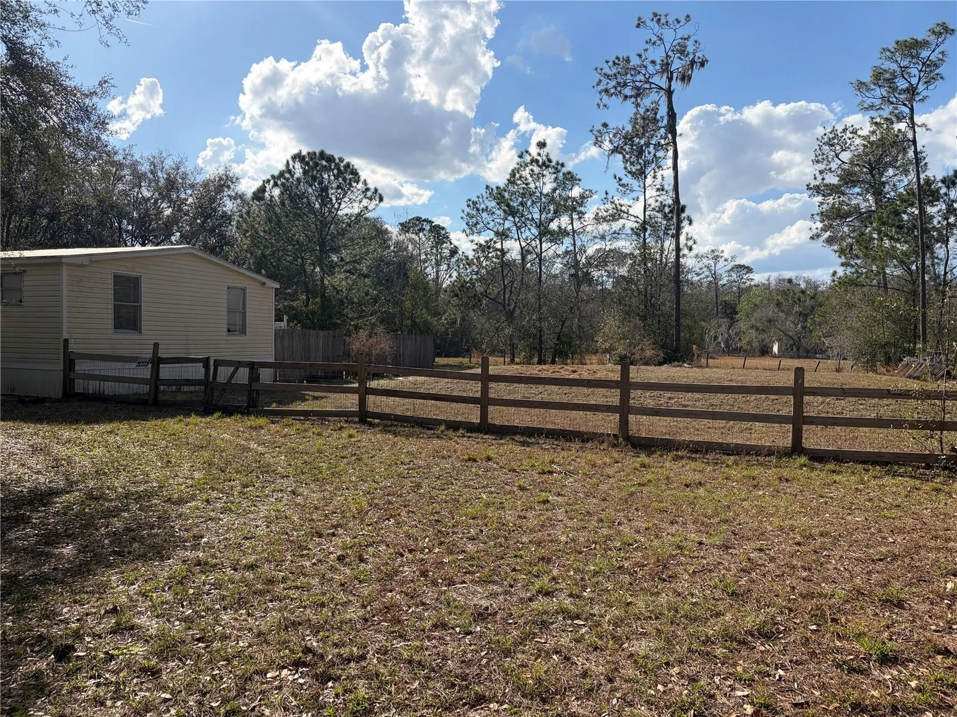 6905 Pearson Lane Wesley Chapel FL 33544