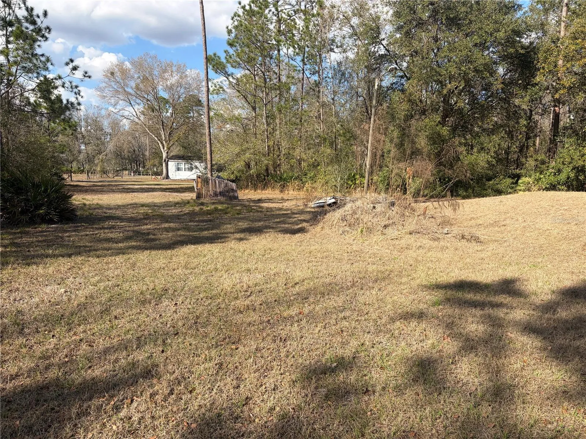 6905 Pearson Lane Wesley Chapel FL 33544