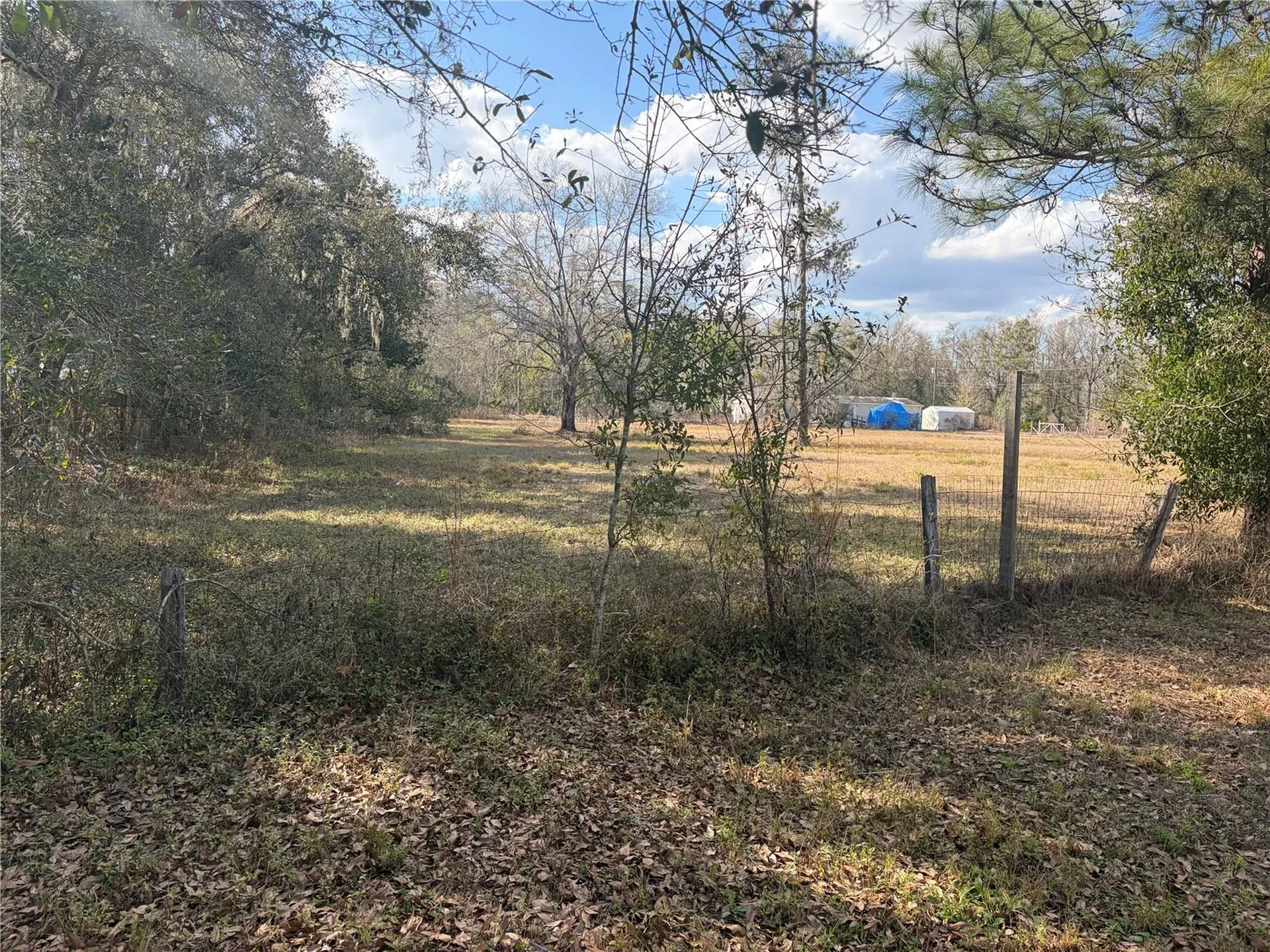 6905 Pearson Lane Wesley Chapel FL 33544