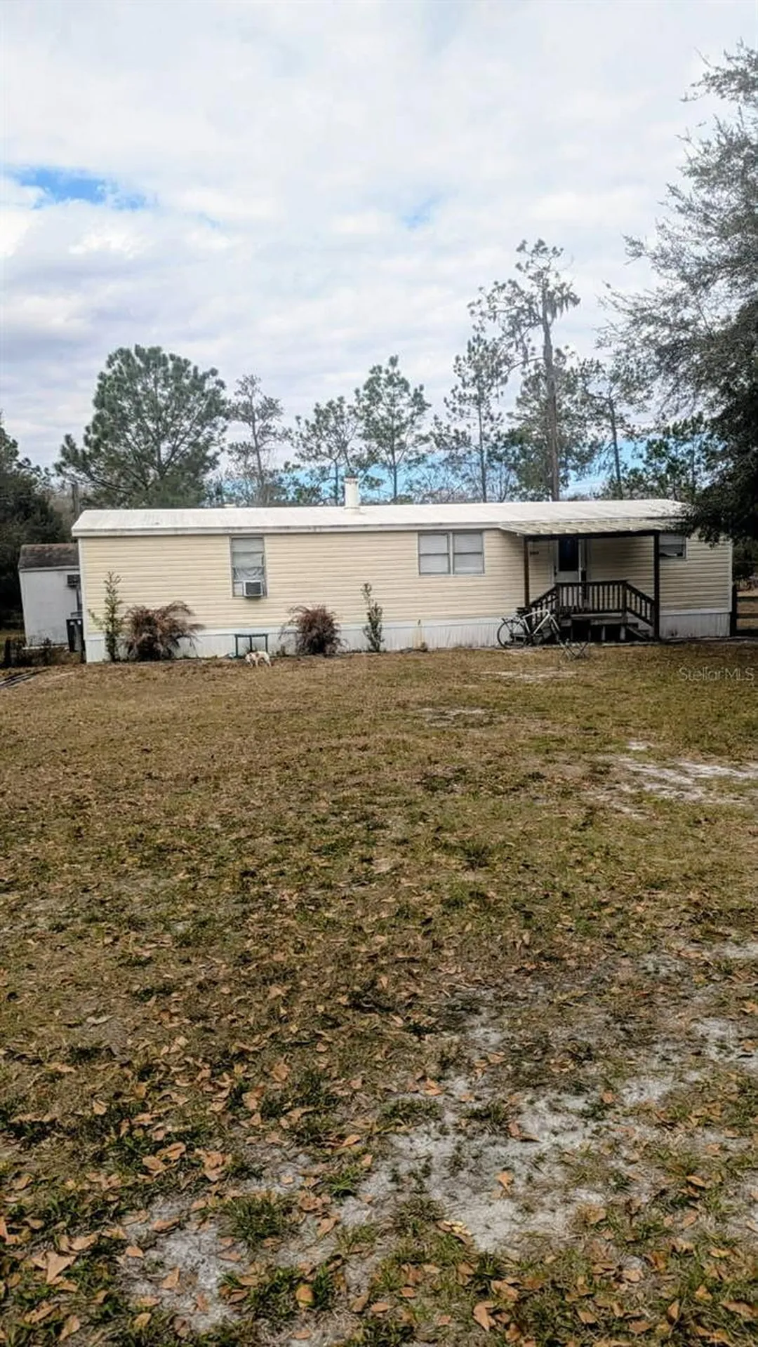 6905 Pearson Lane Wesley Chapel FL 33544