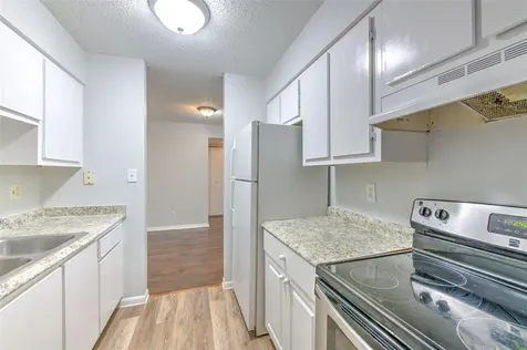 13403 Arbor Pointe Circle Tampa FL 33617
