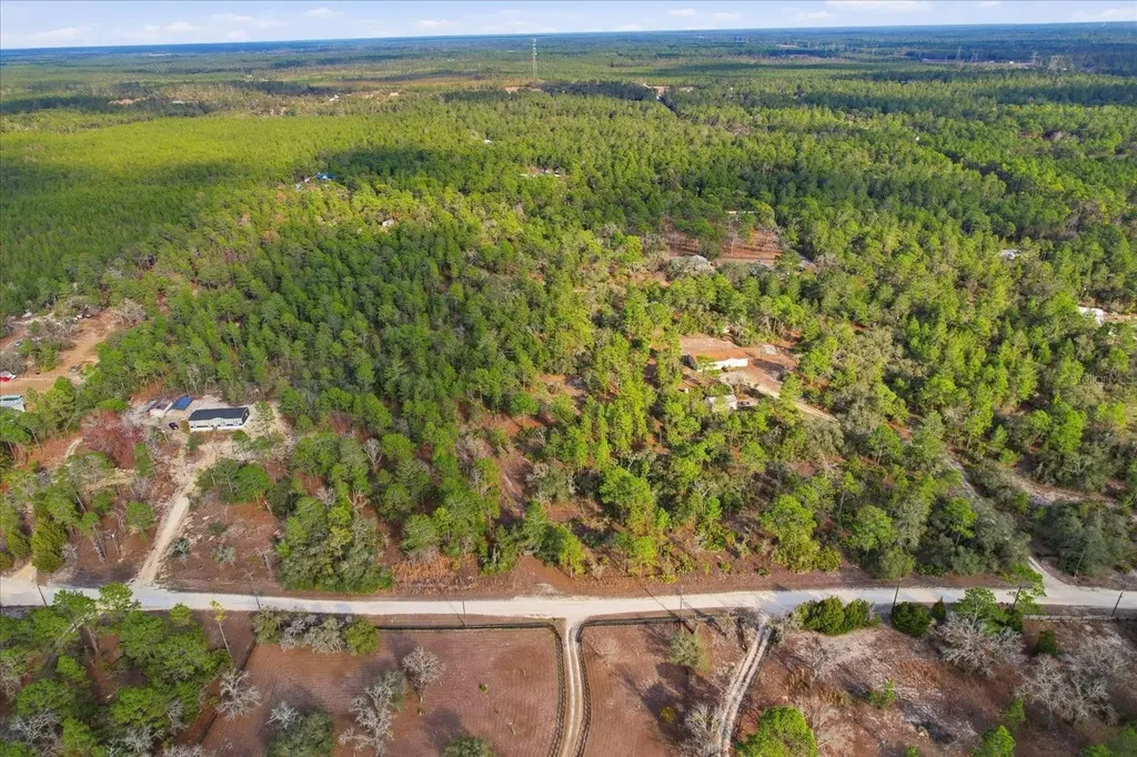 7545 N Damascus Avenue Dunnellon FL 34433