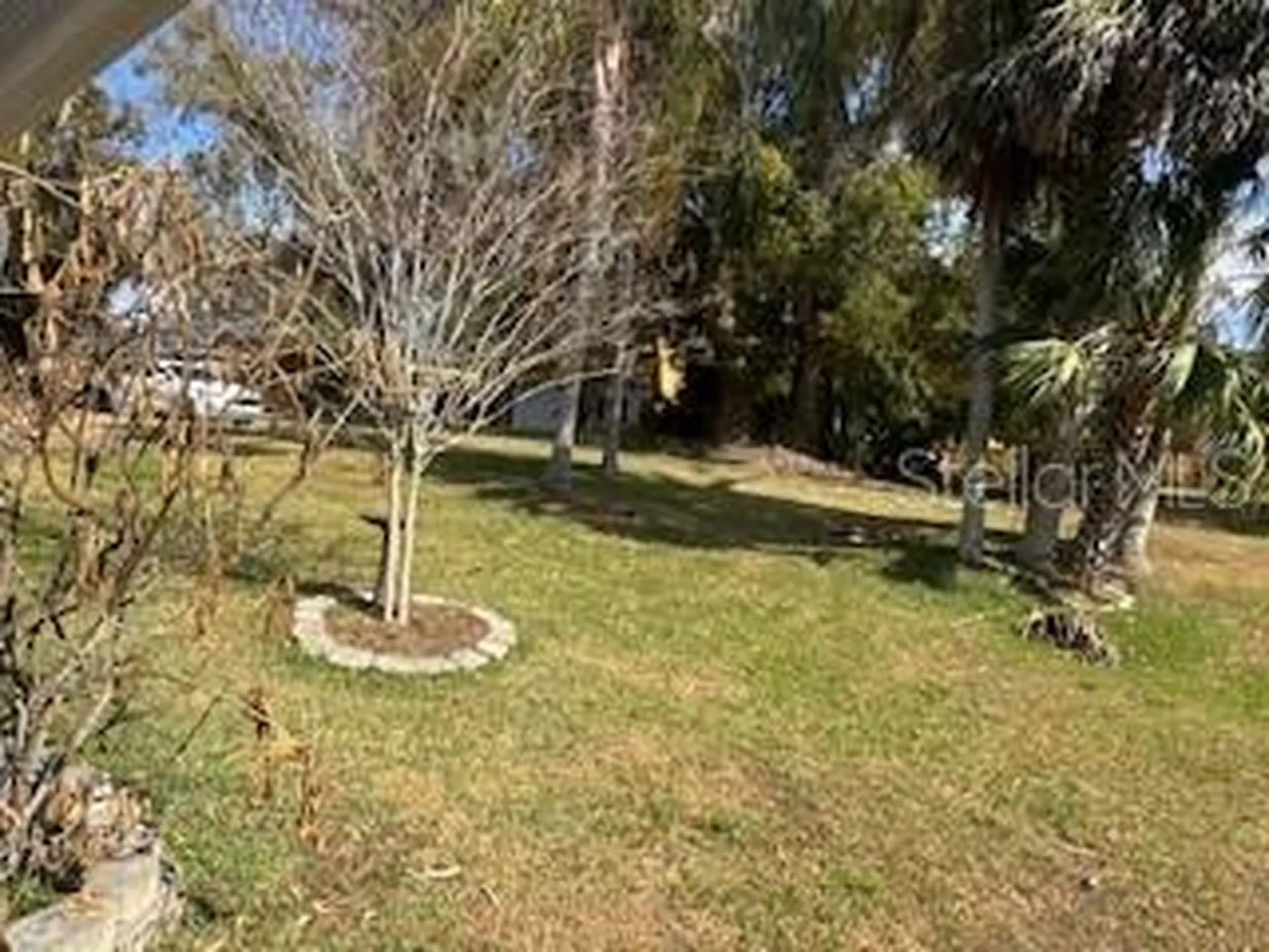 58 S Kentucky Avenue Umatilla FL 32784
