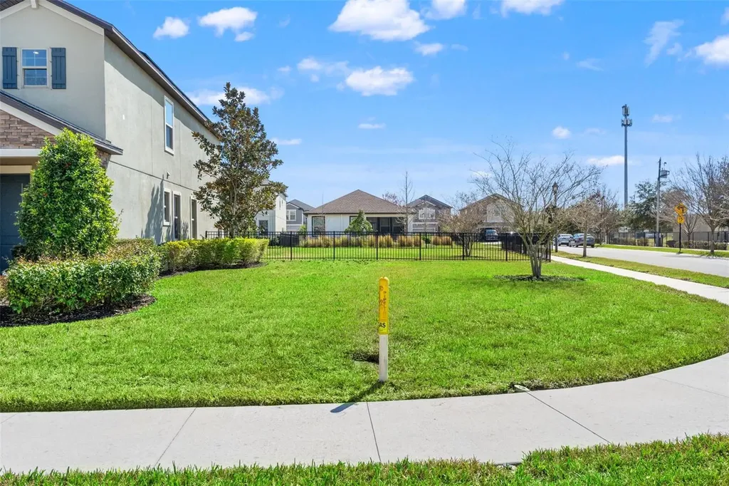 4117 Cadence Loop Land O Lakes FL 34638