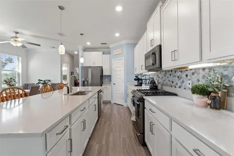4117 Cadence Loop Land O Lakes FL 34638